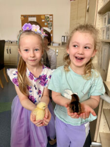 Obrázek pro příspěvek Jak to bylo slepičko?- Motýlci