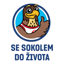 Obrázek pro příspěvek SE SOKOLEM DO ŽIVOTA